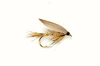 A close-up of a Blae & Black fishing fly