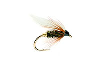 Photo of Coachman fly