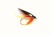 Photo of Dunkeld fly