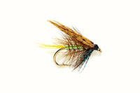 Photo of Invicta Pearly fly