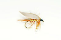 Photo of Wickham's Fancy fly